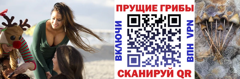 даркнет какой сайт  Курильск  Псилоцибиновые грибы мухоморы 